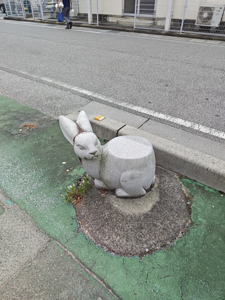 Image 41